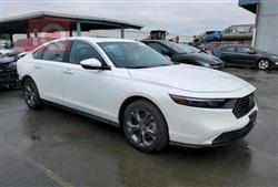 هوندا أكورد